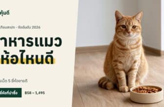 อาหารแมว ยี่ห้อไหนดี 2026