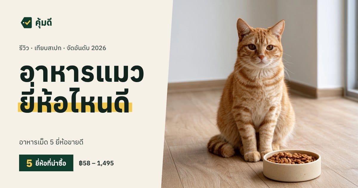 อาหารแมว ยี่ห้อไหนดี 2026