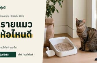ทรายแมว ยี่ห้อไหนดี 2026