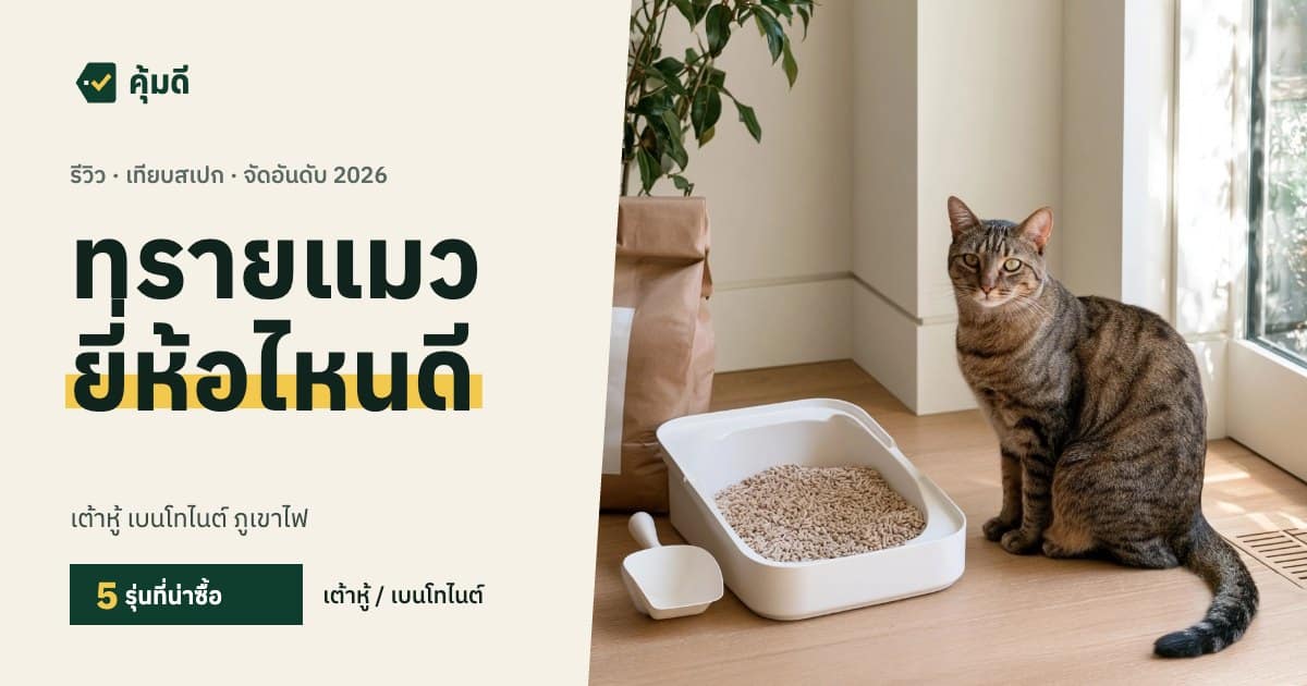 ทรายแมว ยี่ห้อไหนดี 2026