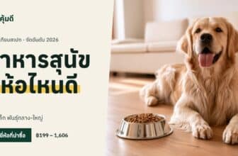 อาหารสุนัข ยี่ห้อไหนดี 2026
