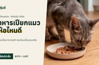 อาหารเปียกแมว ยี่ห้อไหนดี 2026