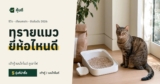 ทรายแมว ยี่ห้อไหนดี 2026 เทียบทรายเต้าหู้ เบนโทไนต์ ภูเขาไฟ