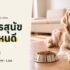 กล้องวงจรปิด ยี่ห้อไหนดี 2026 เทียบกล้อง Wi-Fi 6 รุ่น ในบ้านและนอกบ้าน